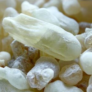 Certified Organic Green Hojari Frankincense Resin from Oman (Boswellia Sacra)